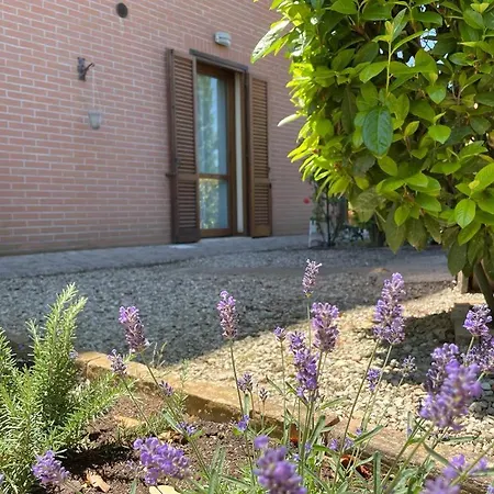 L'olivo Nel Chianti Apartment Quercegrossa