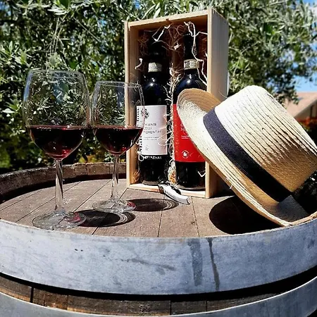 Διαμέρισμα L'olivo Nel Chianti *