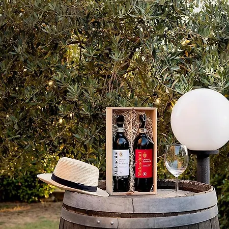 Апартаменты L'olivo Nel Chianti Кверчегросса