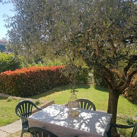 Διαμέρισμα L'olivo Nel Chianti