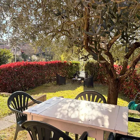 L'olivo Nel Chianti Διαμέρισμα *